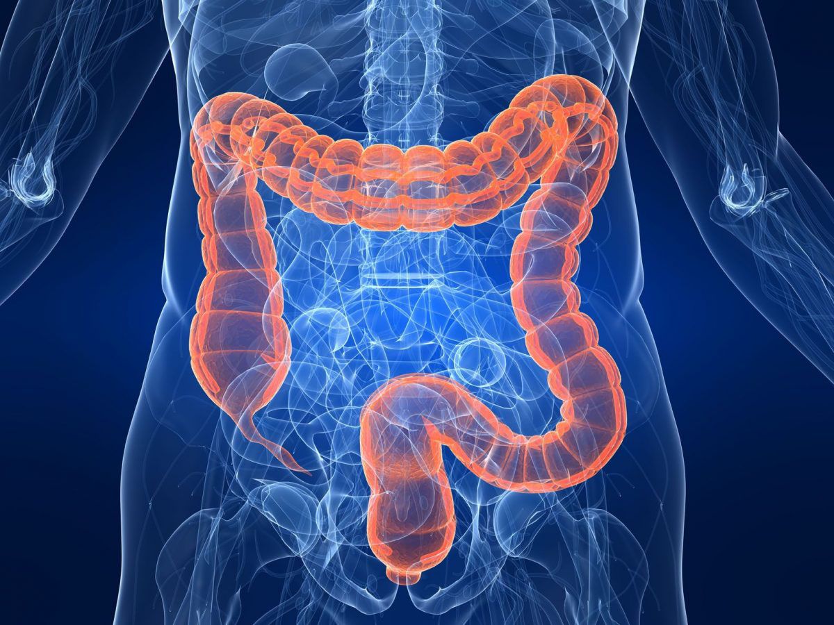 ¿Qué es la hidroterapia de colon y cuándo podría ser una alternativa para tu bienestar digestivo?